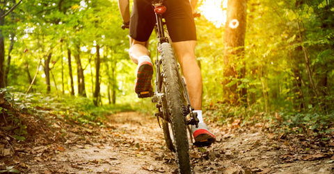 Where Can You Find the Best Top Electric Bikes?