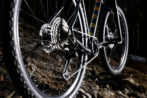 Which Mountain Bikes Are Best for Beginners