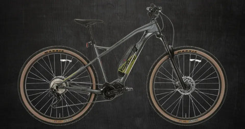 The Rise of Electric Mountain Bikes: Exploring the Possibilities