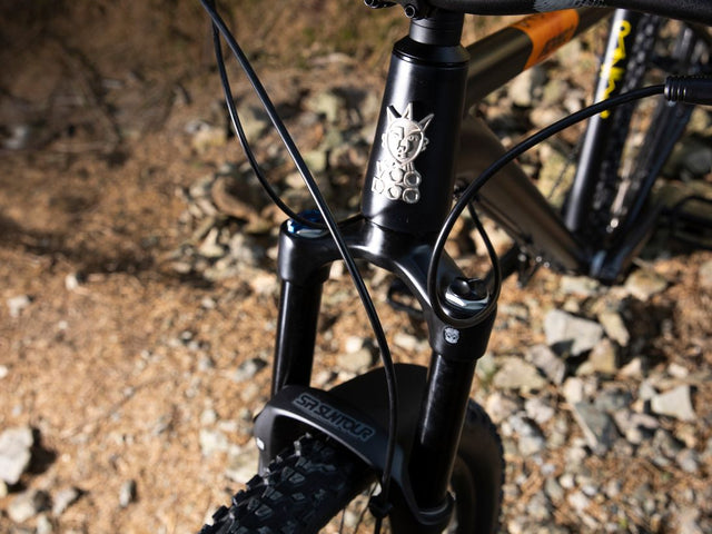 Voodoo Cycles Bizango: Mountain Bike